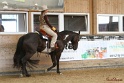 31-APHA OAWP_014